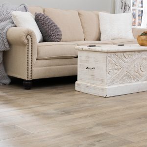 Sofa on Laminate floor | Frazee Carpet & Flooring