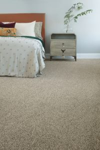 Grey Carpet flooring | Frazee Carpet & Flooring